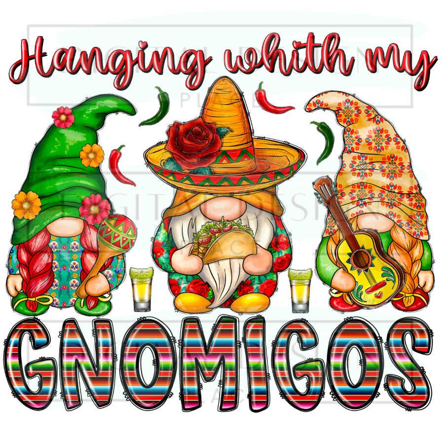 Gnomingos CDMM13
