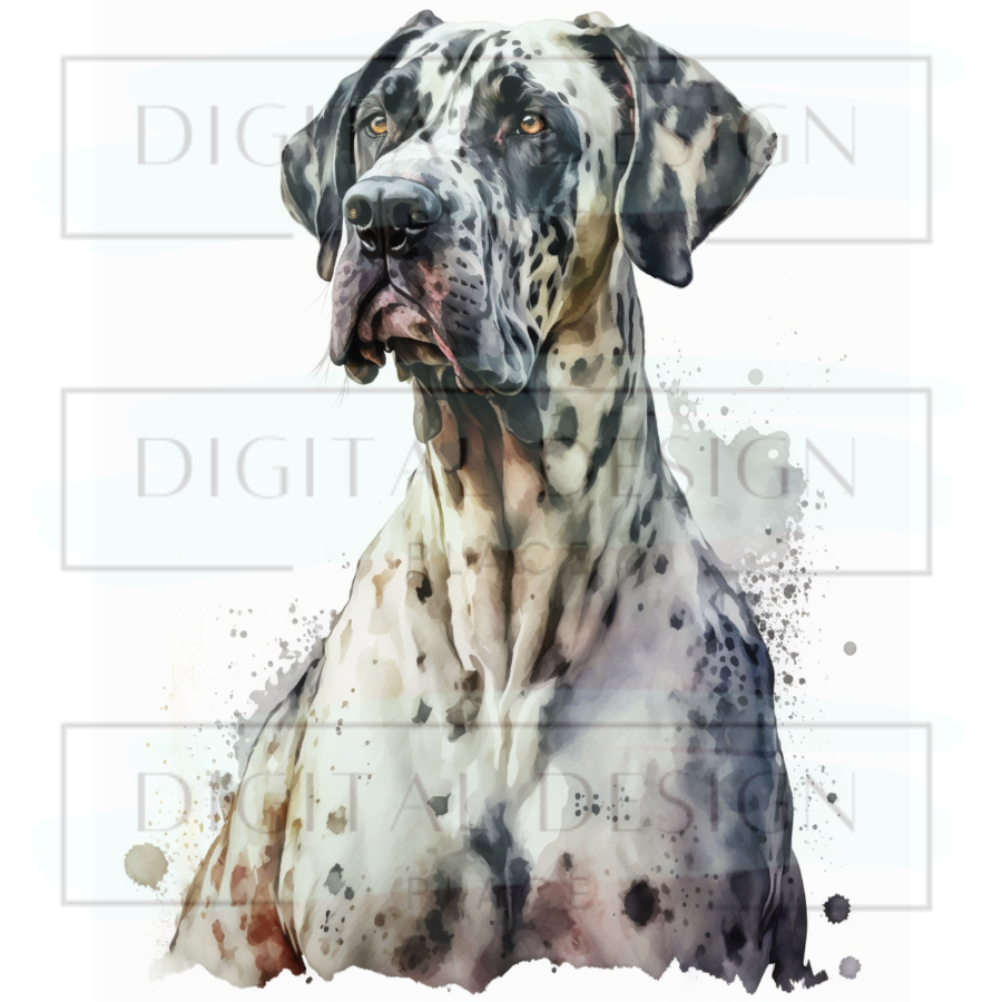 Great Dane ANIA141