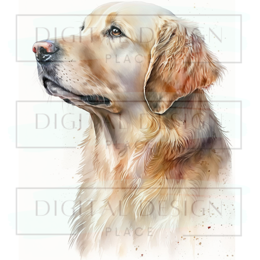Retriever ANIA143