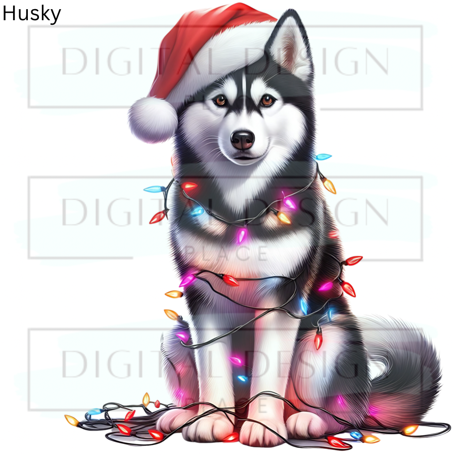 Christmas Husky ANIA84
