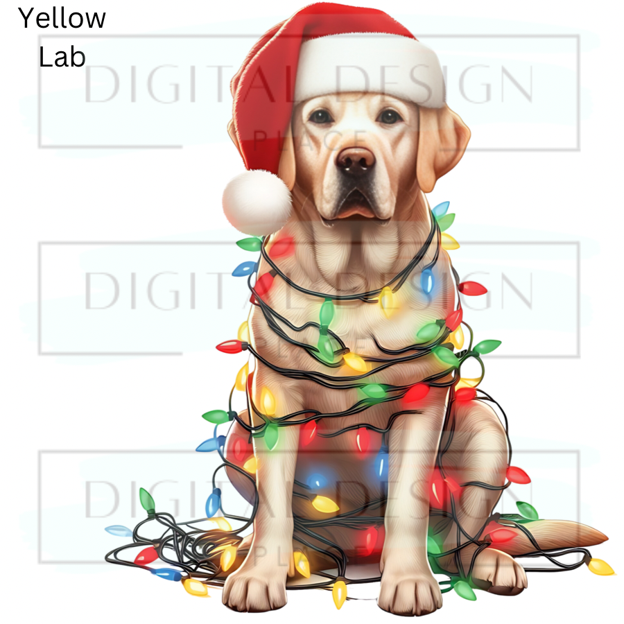 Christmas Yellow Lab ANIA85