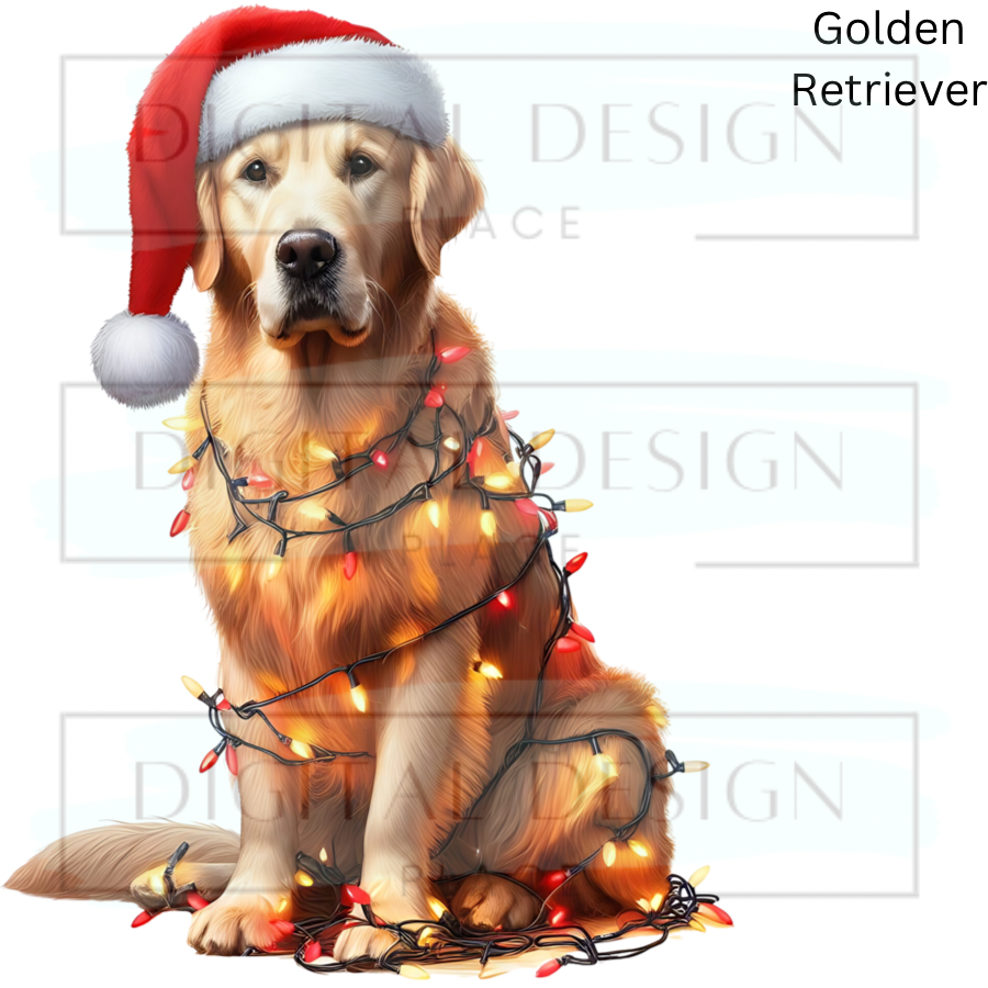 Christmas Golden Retriever ANIA88