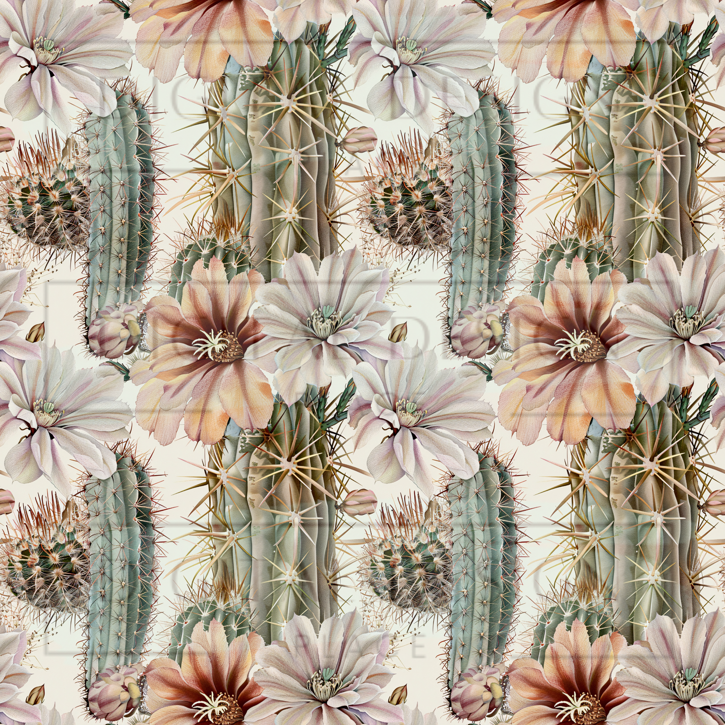 Mauve Soft Desert Cacti VinylV2217