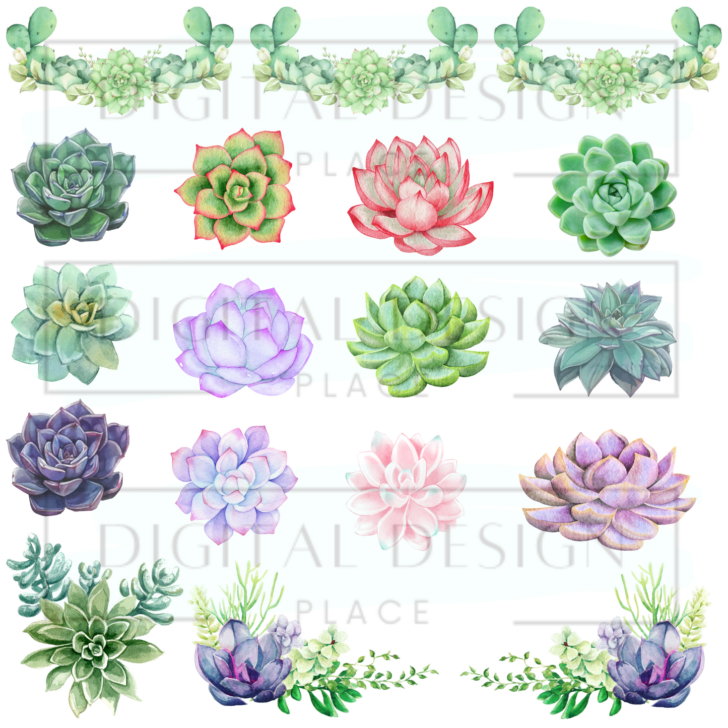 Succulents EleE44