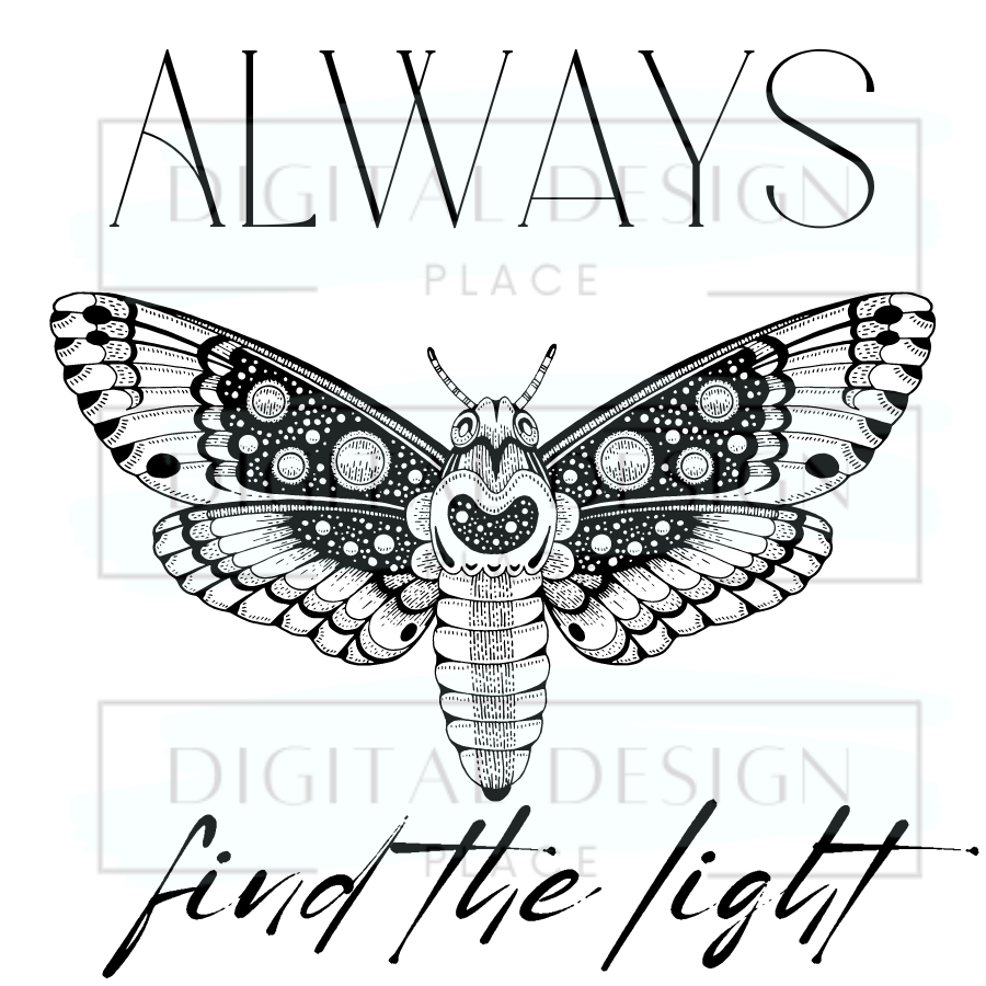 Find the Light EmoED20