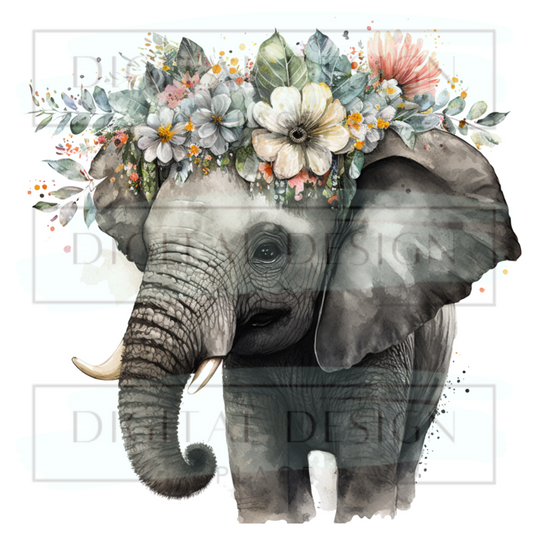 Floral Elephant Baby ANIA118
