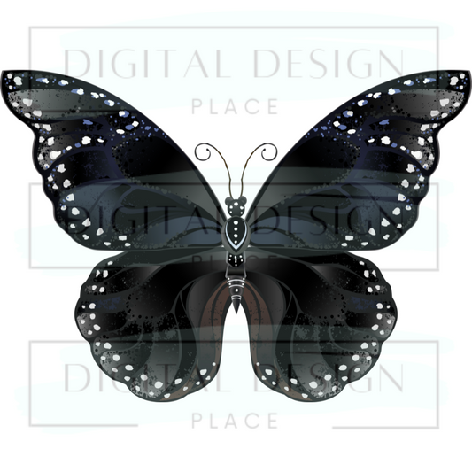 Black Butterfly ANIA50