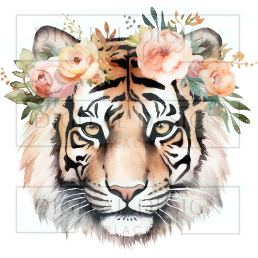 Floral Tiger ANIA62