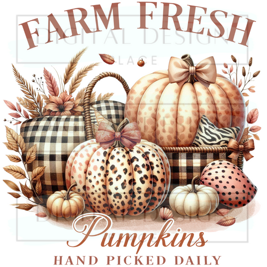 Farm Fresh Pumpkins FALLF54