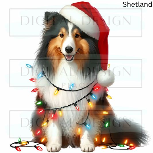 Christmas Shetland ANIA80