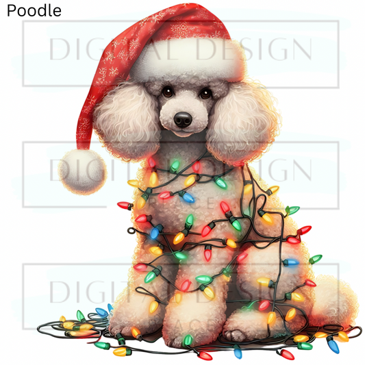 Christmas Poodle ANIA82