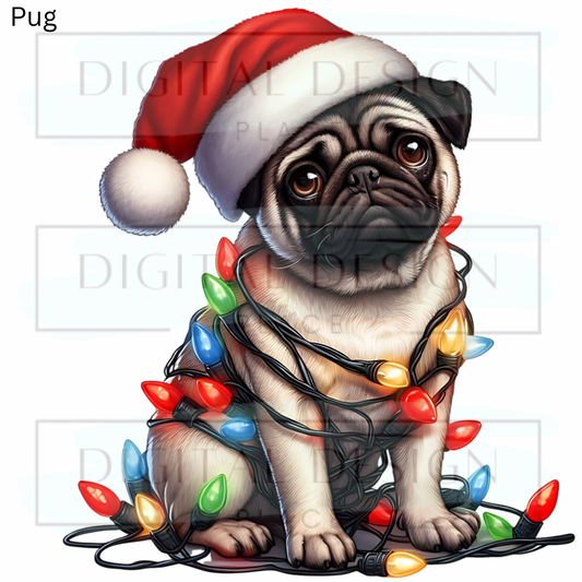 Christmas Pug ANIA83