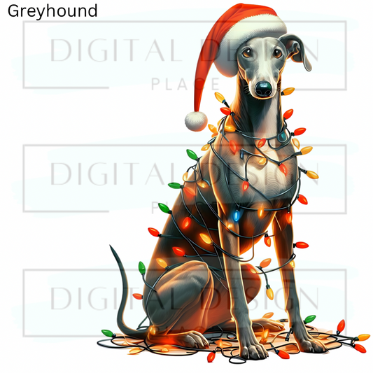 Christmas Greyhound ANIA86
