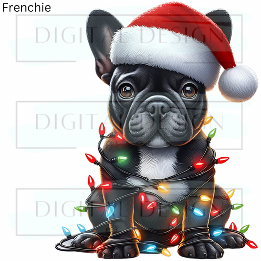 Christmas Frenchie ANIA89
