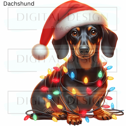 Christmas Dachshund ANIA92