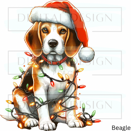 Christmas Beagle ANIA95
