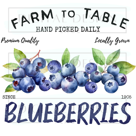 Farm to Table Blueberries SUMS104