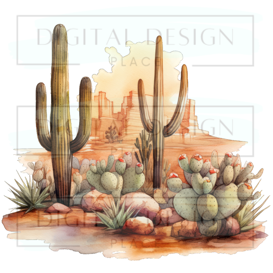 Cacti Sunset WESW47