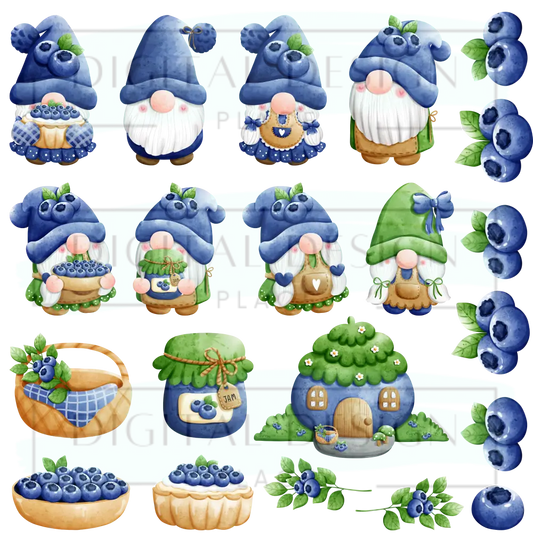 Blueberry Gnomes EleE96