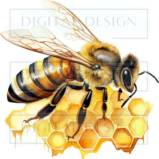 Honeycomb Bee PJP88