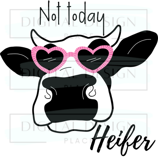 Not Today Heifer ANIA19