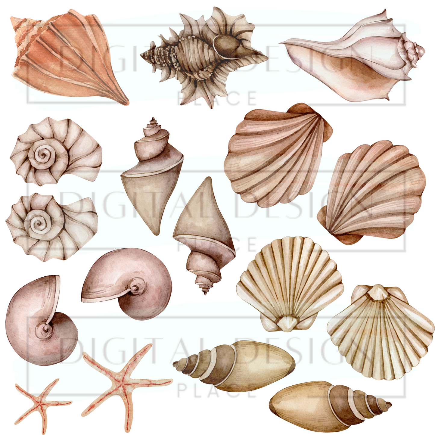 Seashells 2 EleE69