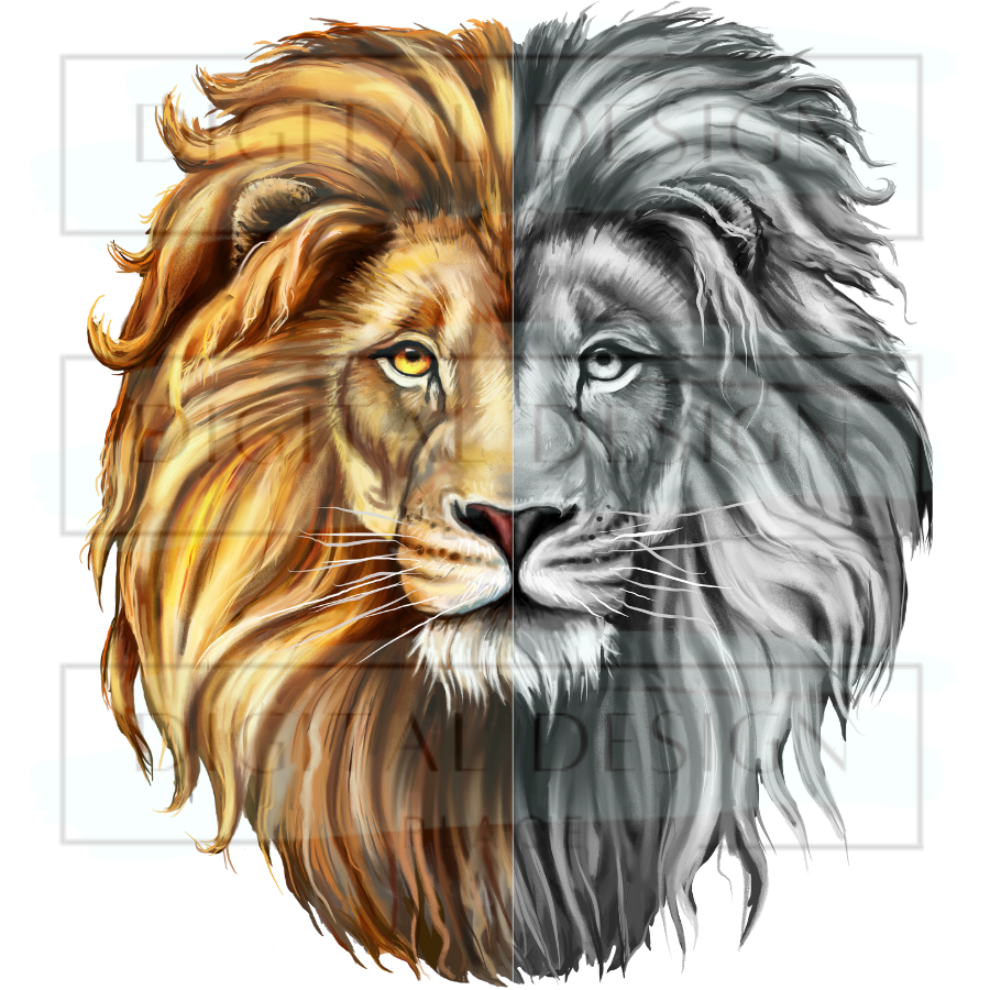 Half Lion ANIA13