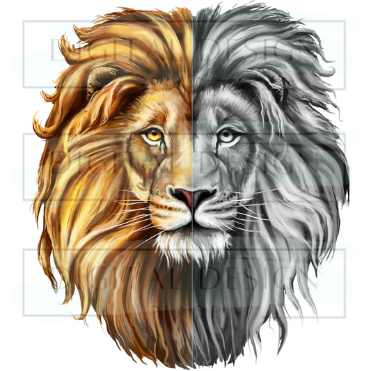 Half Lion ANIA13