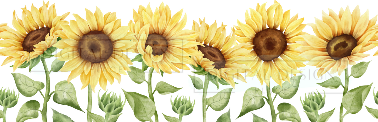 Sunflowers WRAW31