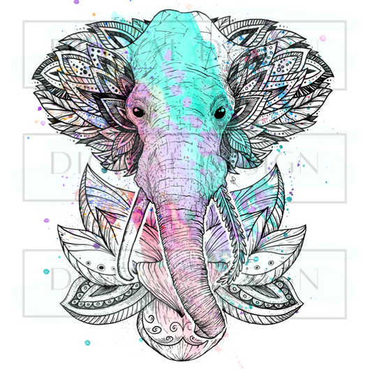 Elephant Lotus ANIA10