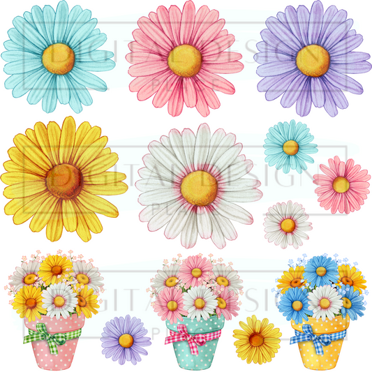 Colorful Daisies EleE54